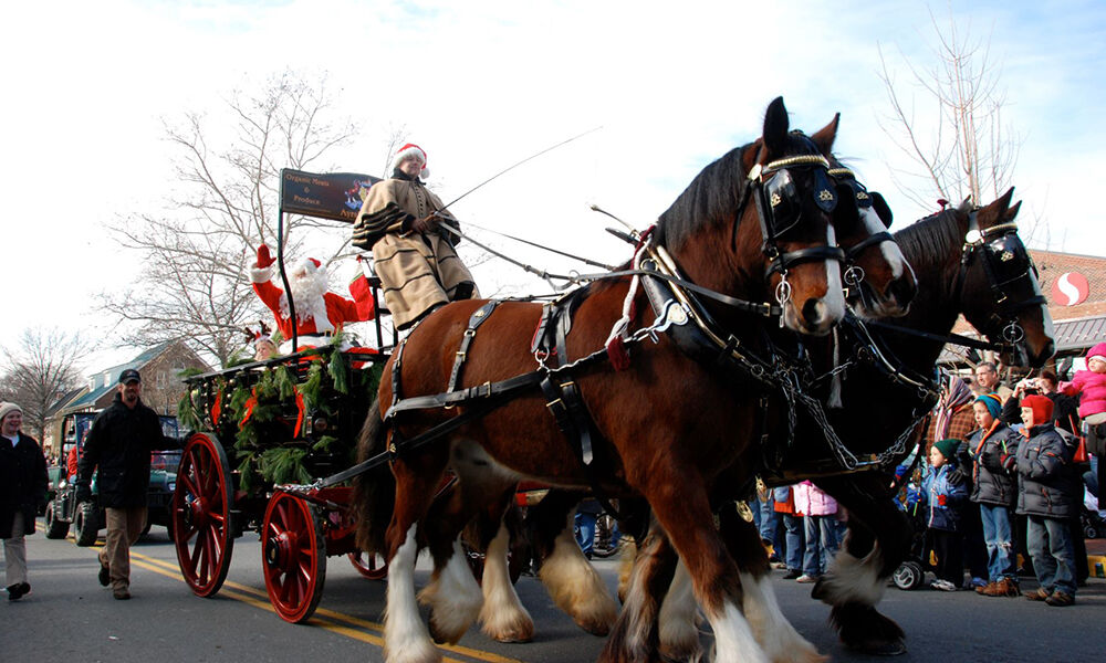 WEB CREDIT JAY HUBBARD Middleburg Ayreshires_Santa2 (003)